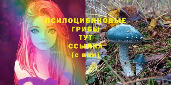 герыч Арсеньев